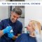 Top Ten FAQs on Dental Crowns (featured image)