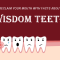 Reclaim Your Mouth and Look at the Facts About Wisdom Teeth! (featured image)